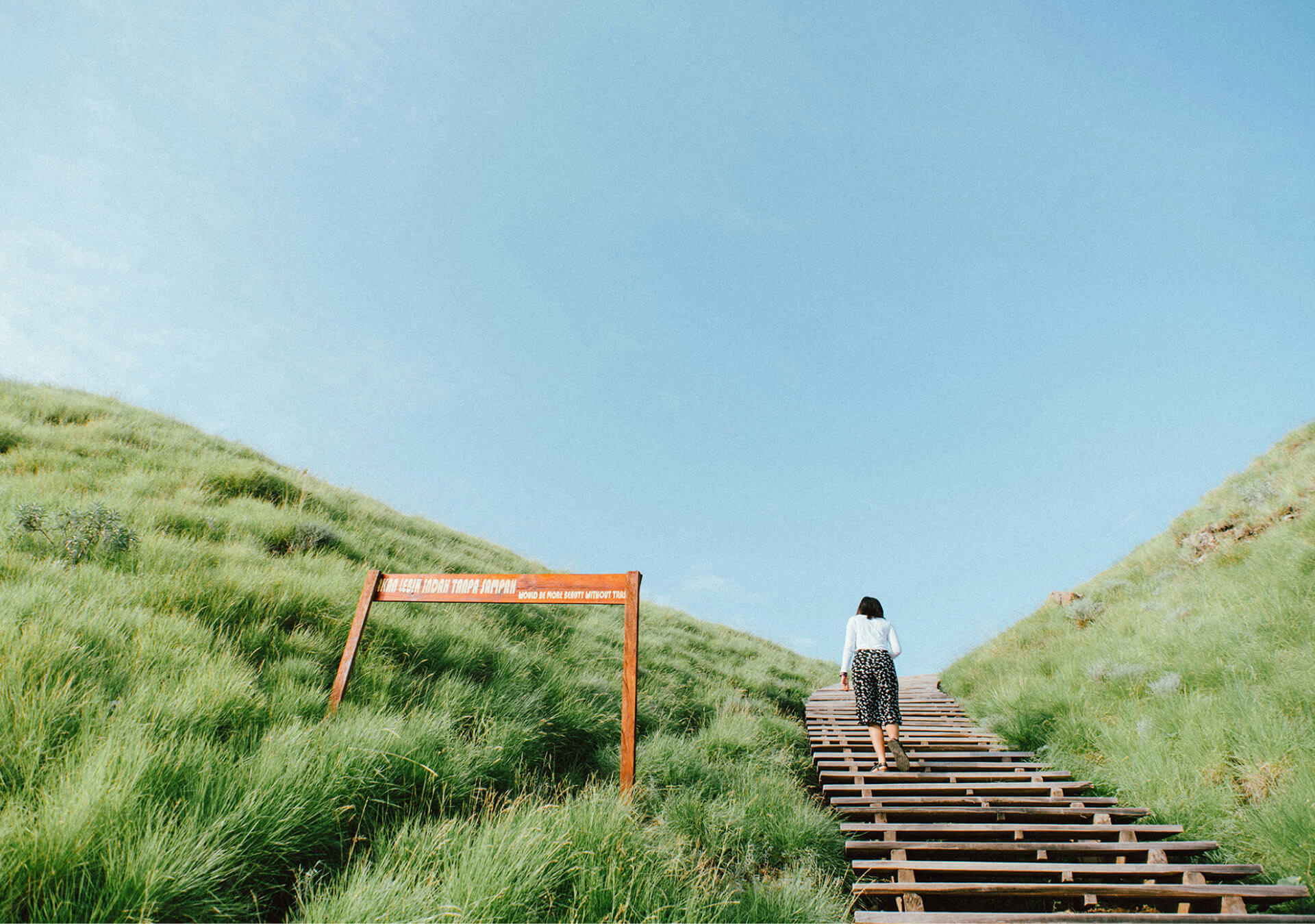 Women climbing steps